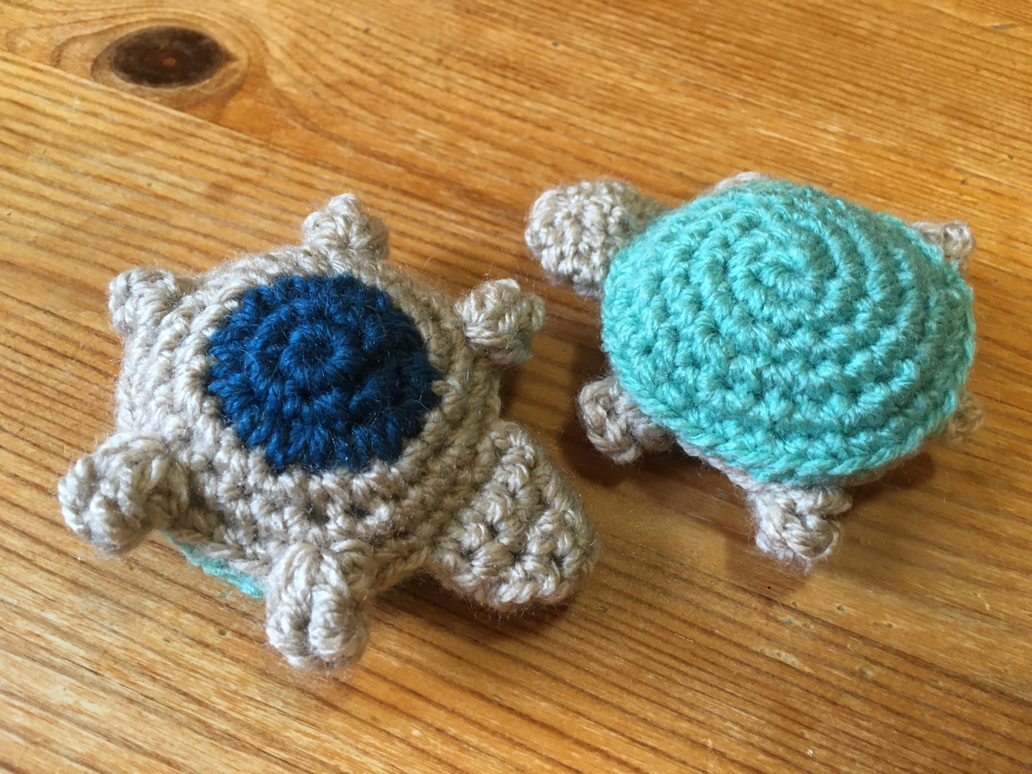 Two turtles - one face up and one face down.