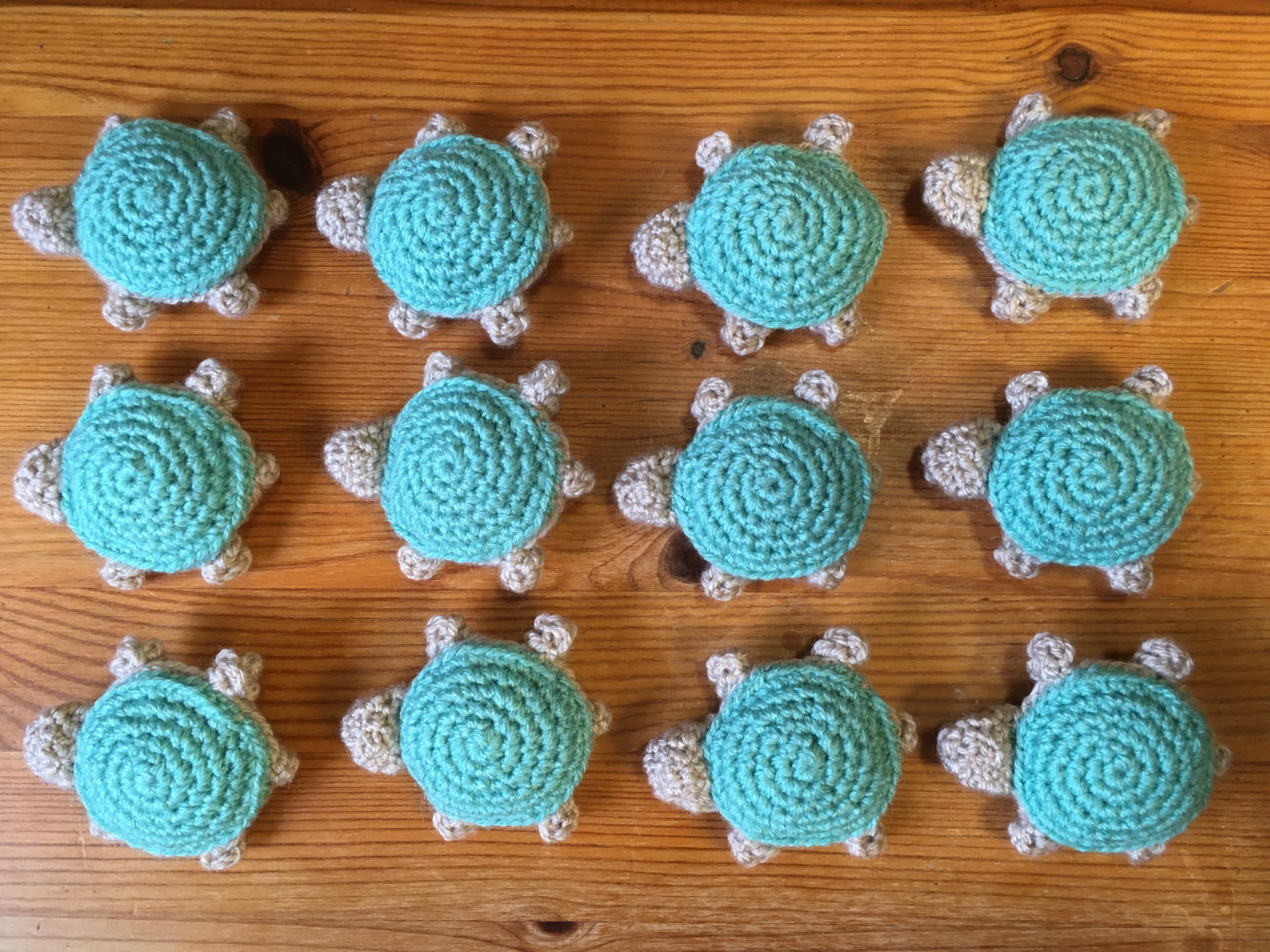 Twelve baby turtles
