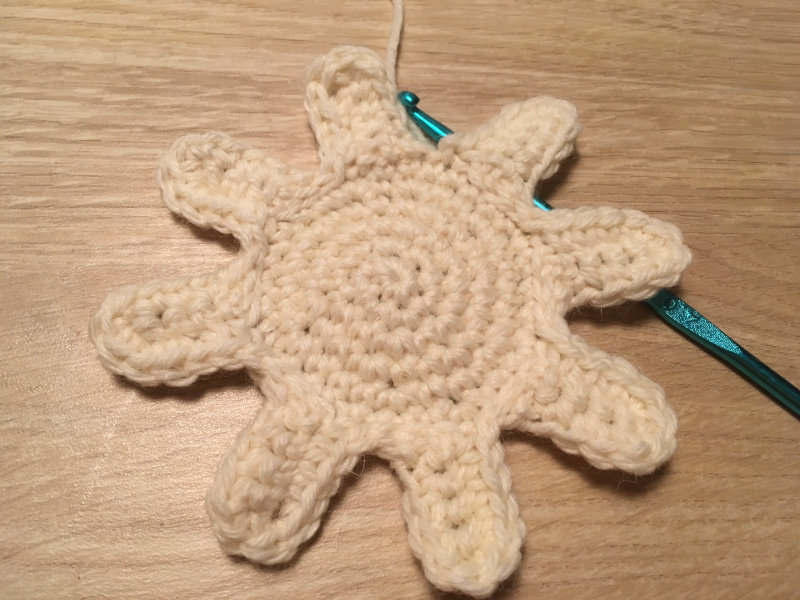 Octopus belly
